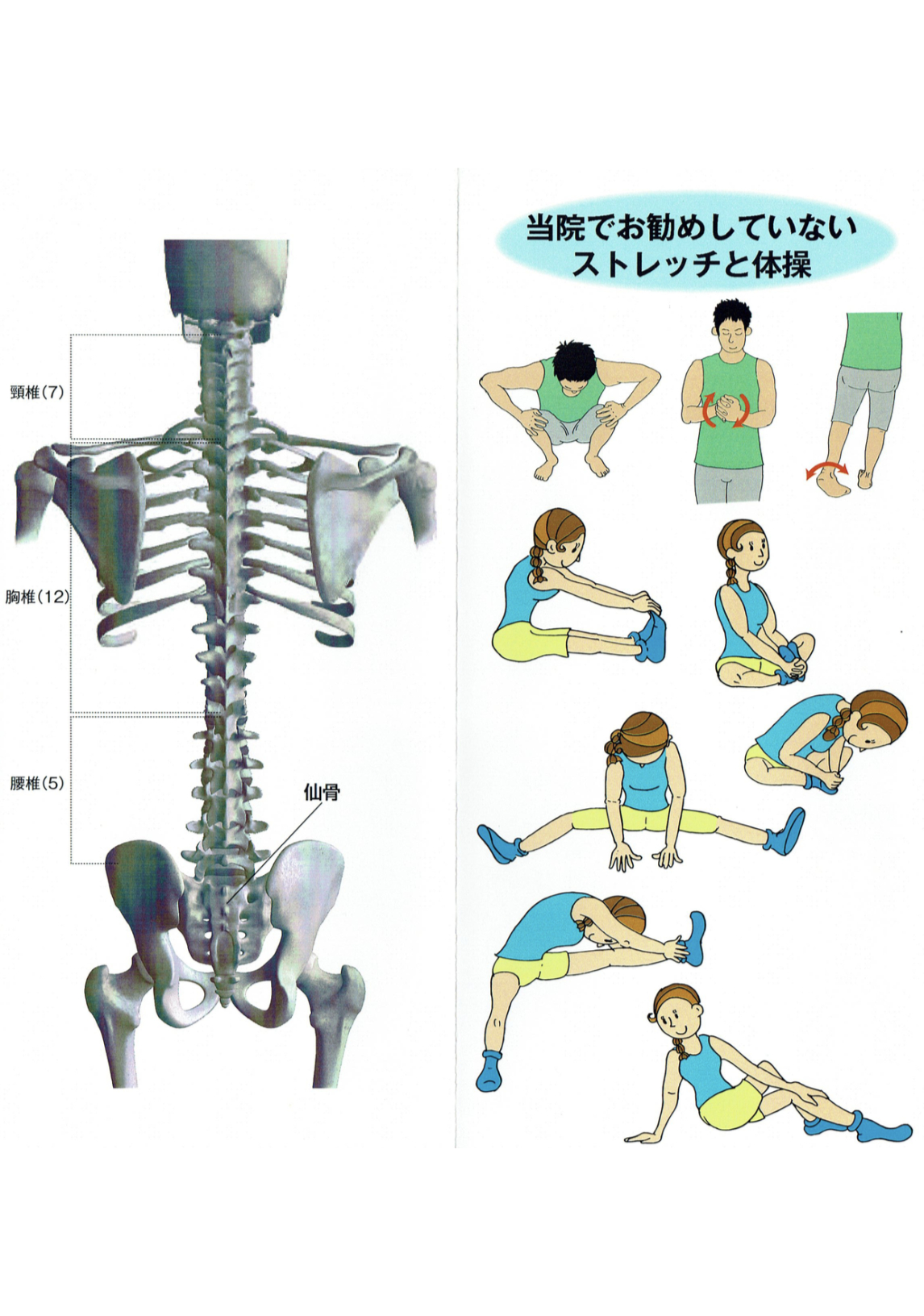 よくやってしまう間違えたストレッチ